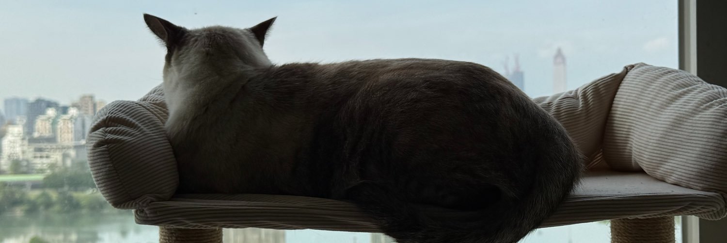 SUPISOUP0054's profile banner image