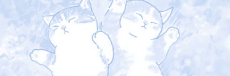 leyll_n's profile banner image