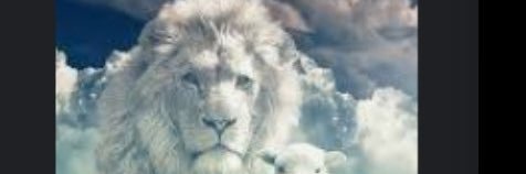@aaaaa banner