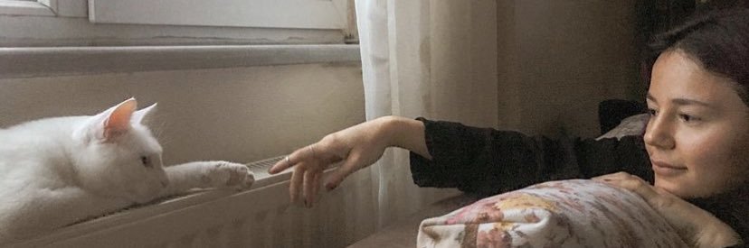 mineoloji's profile banner image