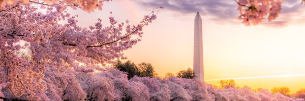 Voice of America Profile Banner