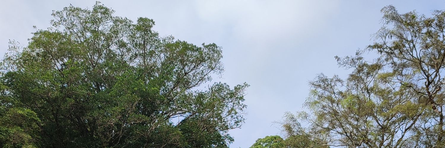 Dimasakiniip's profile banner image