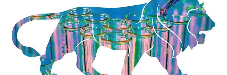 ankursarma4787's profile banner image