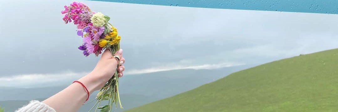 carolinachg_'s profile banner image