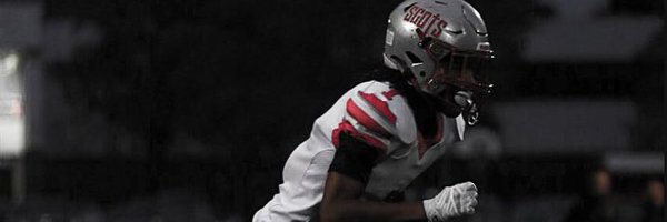 LeeseanSaunders Profile Banner