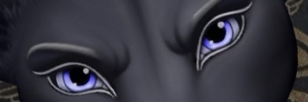 RgKraft's profile banner image