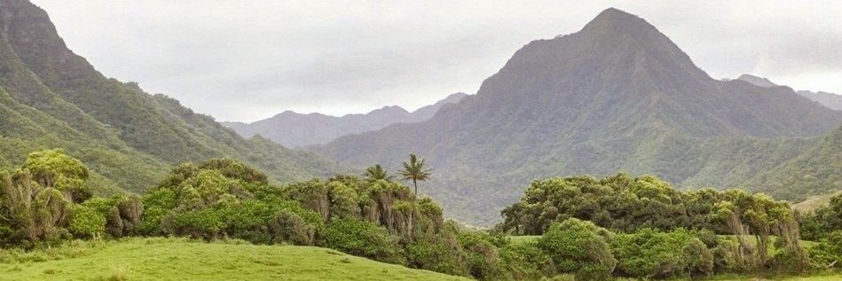 lisafernanda71's profile banner image
