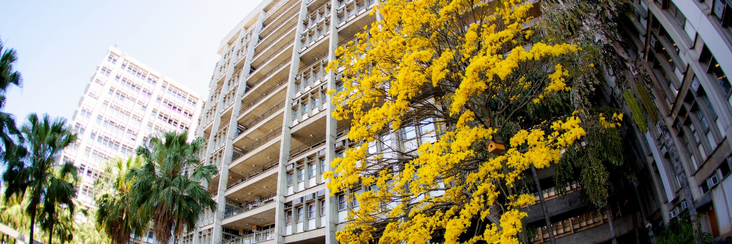 bela 🏷️ discursivas BELA10 banner