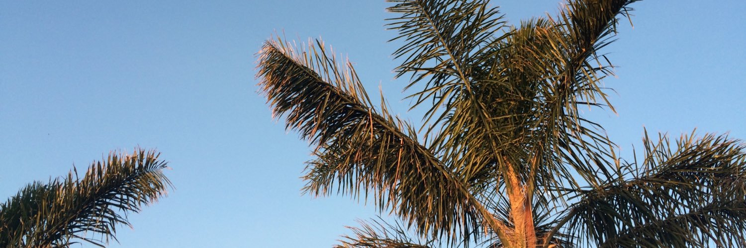 JordanRei's profile banner image