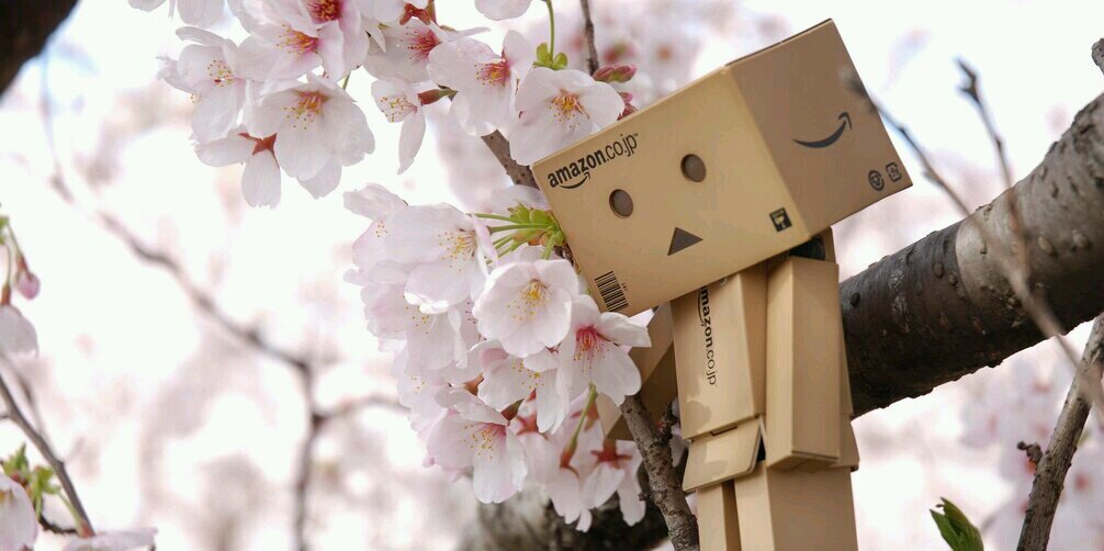 dear_RPW's profile banner image