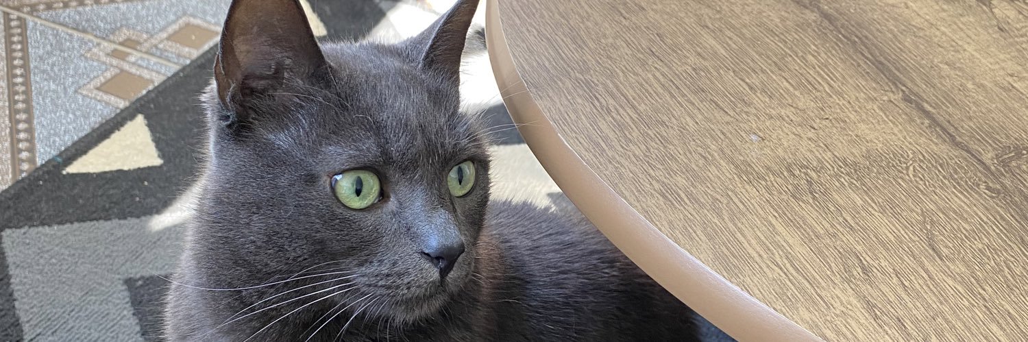 putaomsm's profile banner image