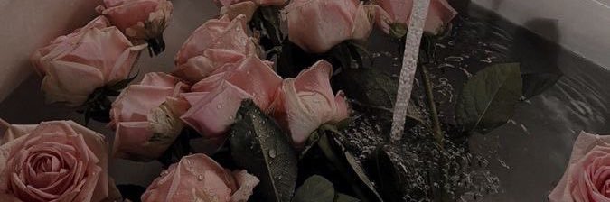 you_328_'s profile banner image