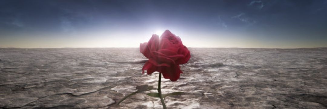 DVo____'s profile banner image