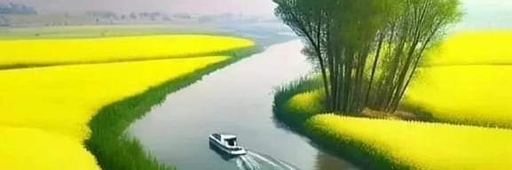 Đại dâm dâm banner