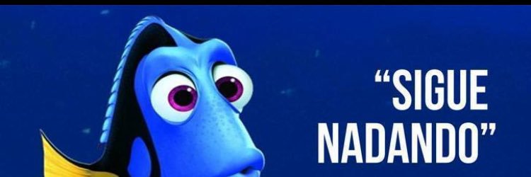 ani_toque's profile banner image