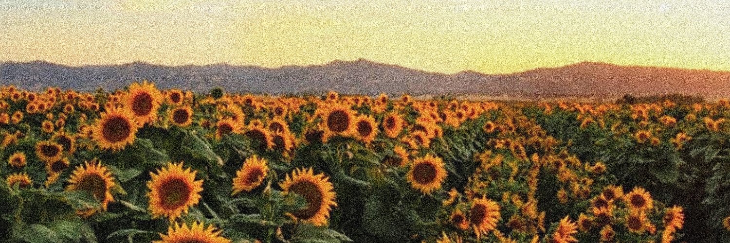 Webly 🌱 🌻🚦 banner