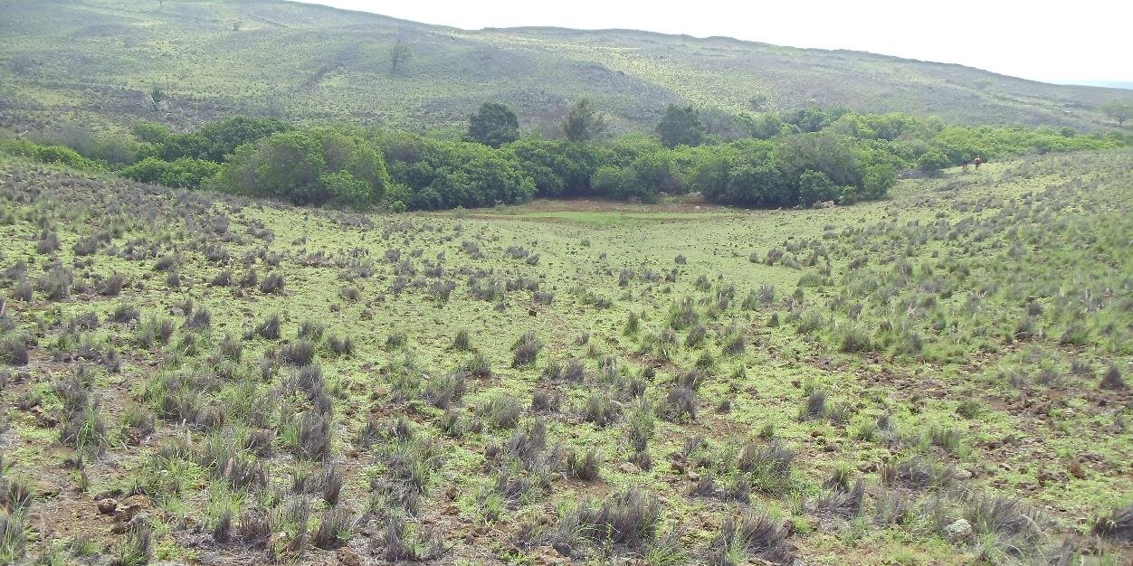 Anthony J. Parolari banner