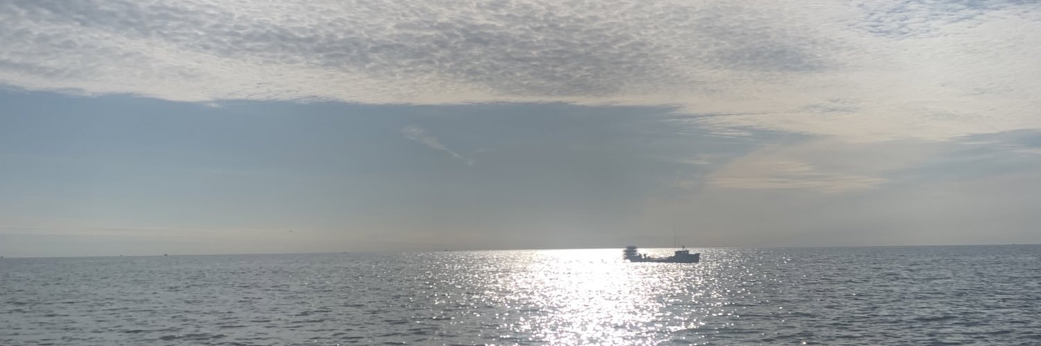 marealeilani's profile banner image