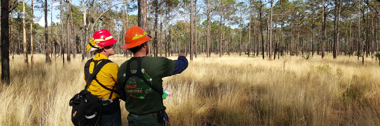 Conservancy Fire banner