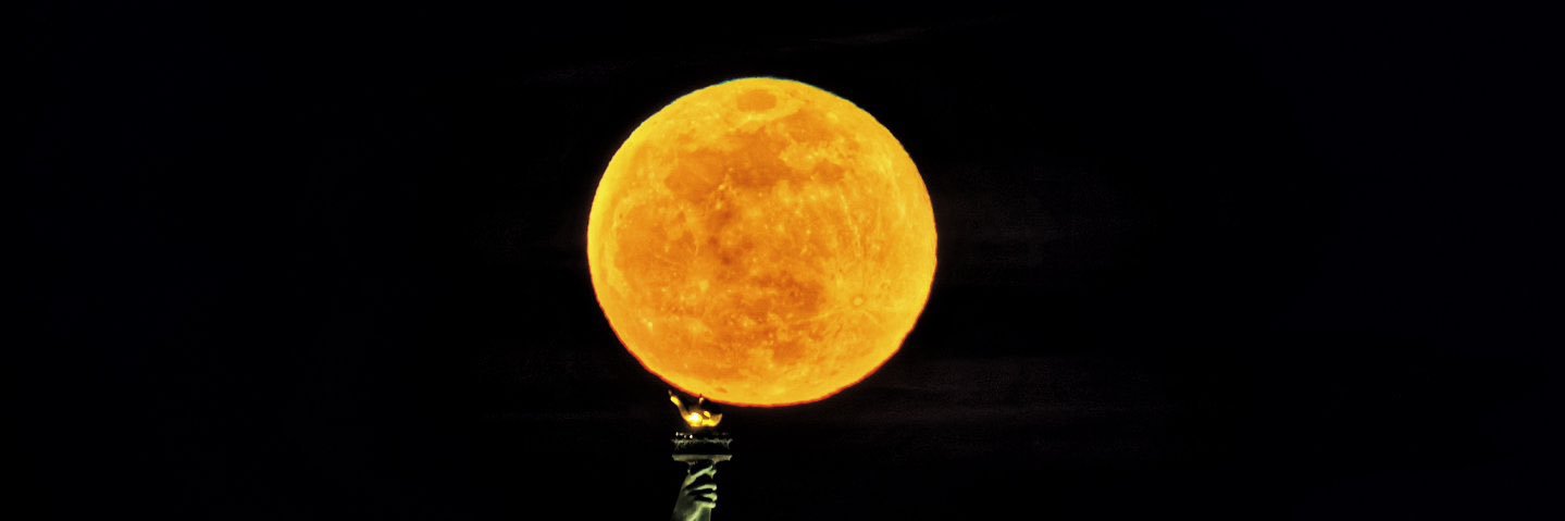 StaciJShelton's profile banner image