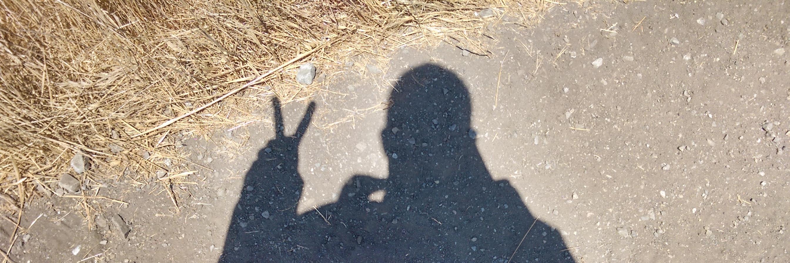 Joe Brown (he/him) banner