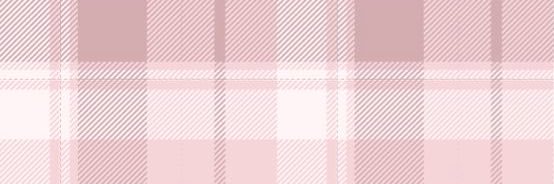 spideynyan missing bts banner
