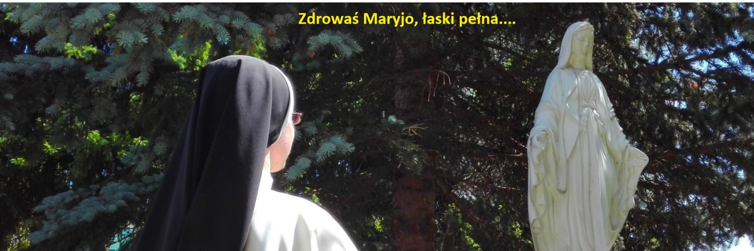 STadeusza's profile banner image