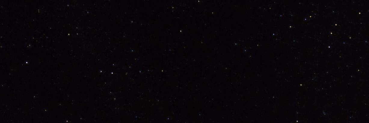 Dragonling 🐉 banner