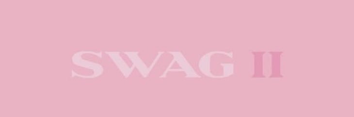 Paloma | SWAG II banner