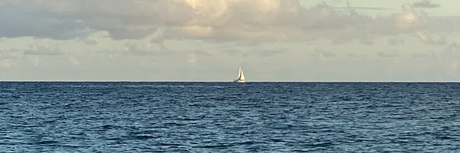 Stephen Curry 🐝 🕶️ 🚆 banner