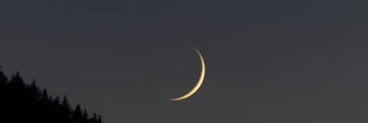 Ruqaya_9's profile banner image