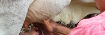 GANADOF1's profile banner image