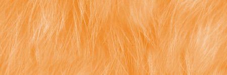 letsloveju's profile banner image
