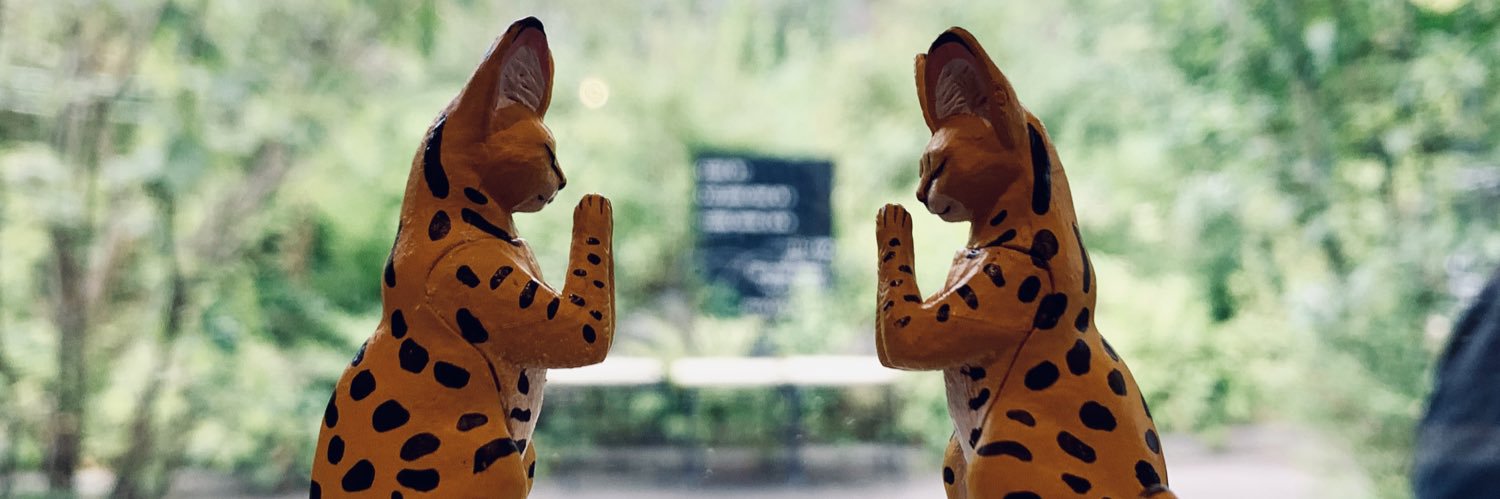 OGAY0's profile banner image