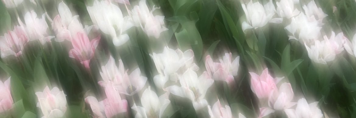 nayeilly's profile banner image