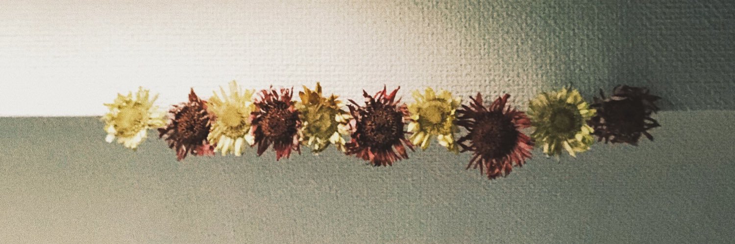 gin_drum's profile banner image