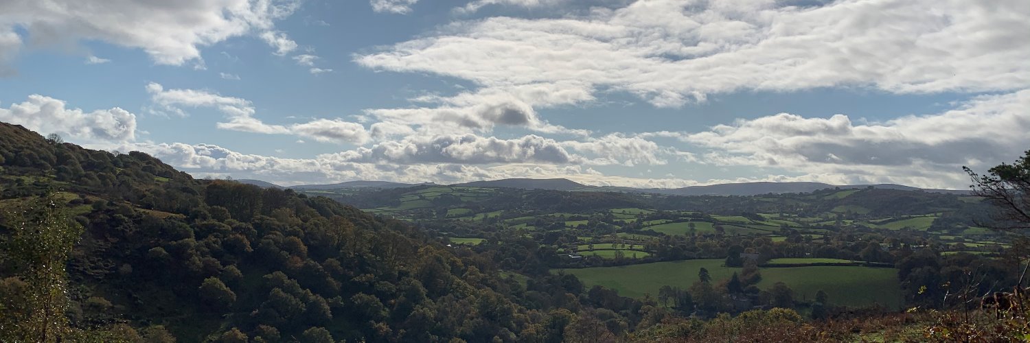 Tom Cantwell banner