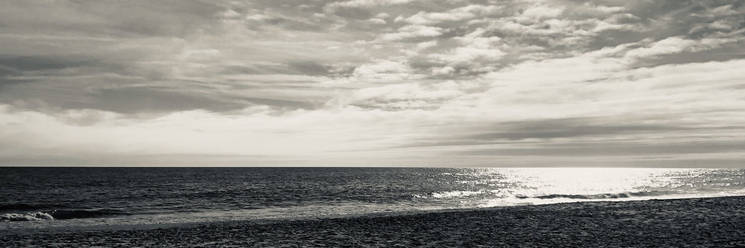 toritanner's profile banner image