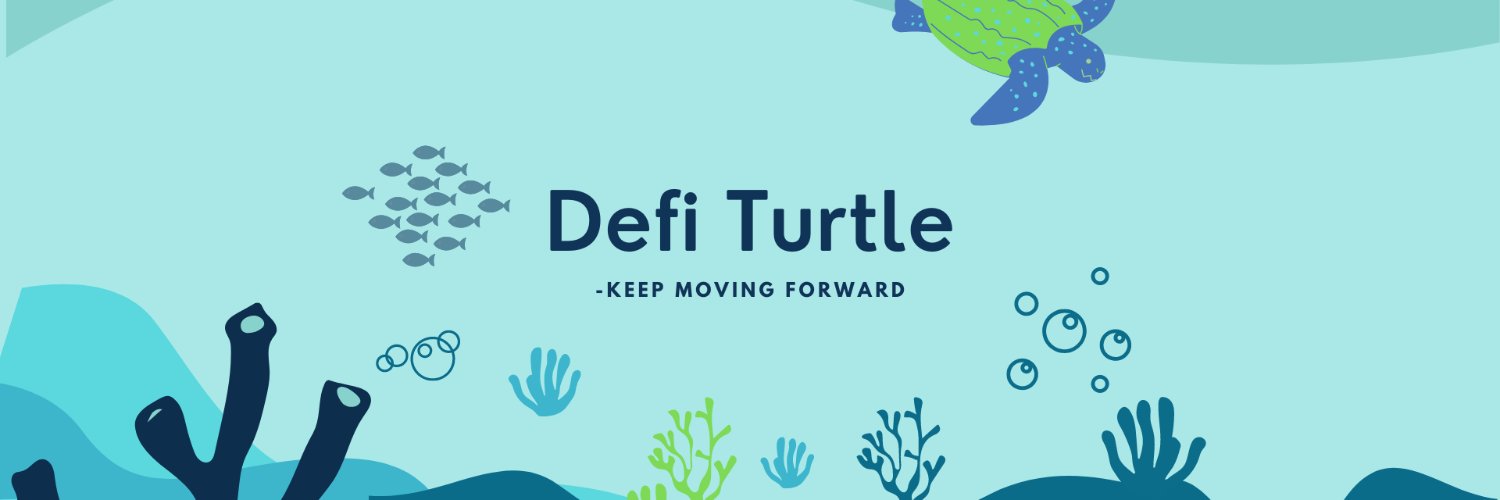 defi_turtle's profile banner image