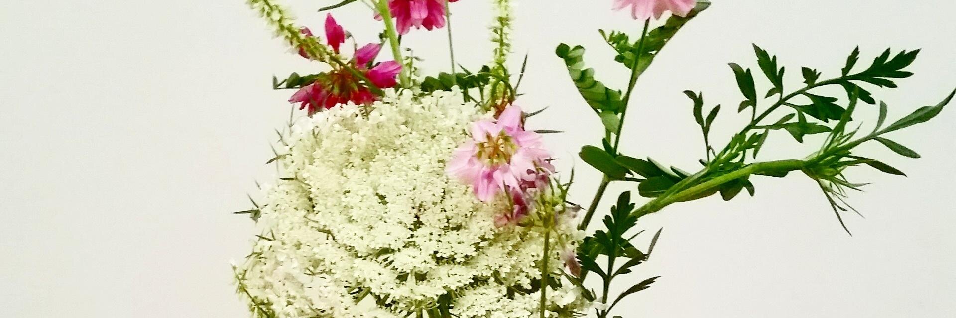 ForageSpace's profile banner image