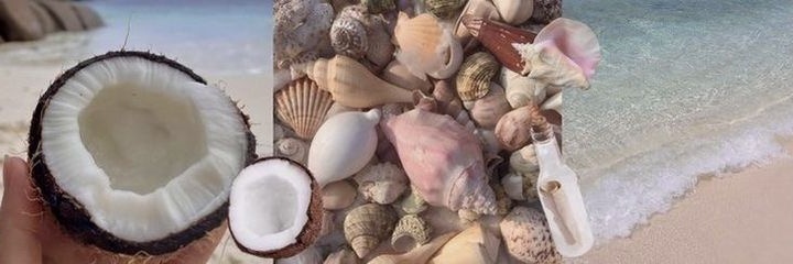 ansa²⁸ banner