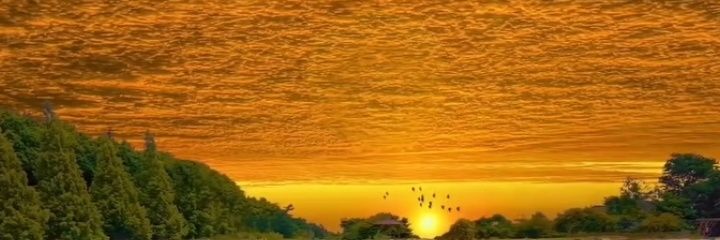 samarrsahu's profile banner image