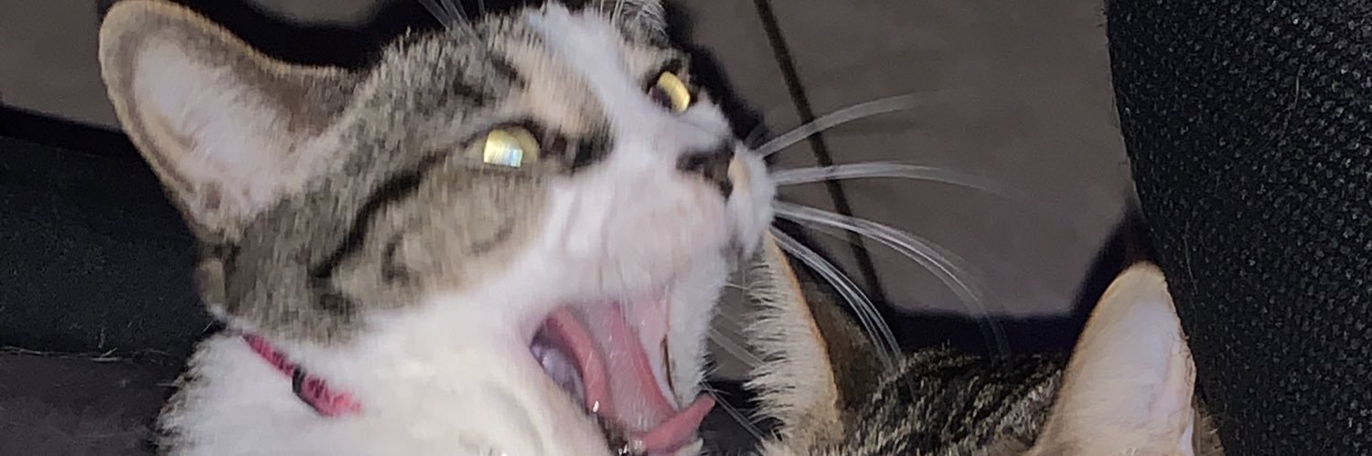 MsSmartStuff's profile banner image