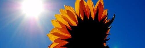 Heids98's profile banner image