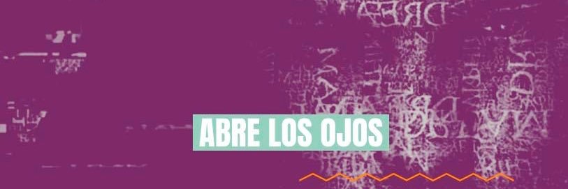 despiertaparaguay banner