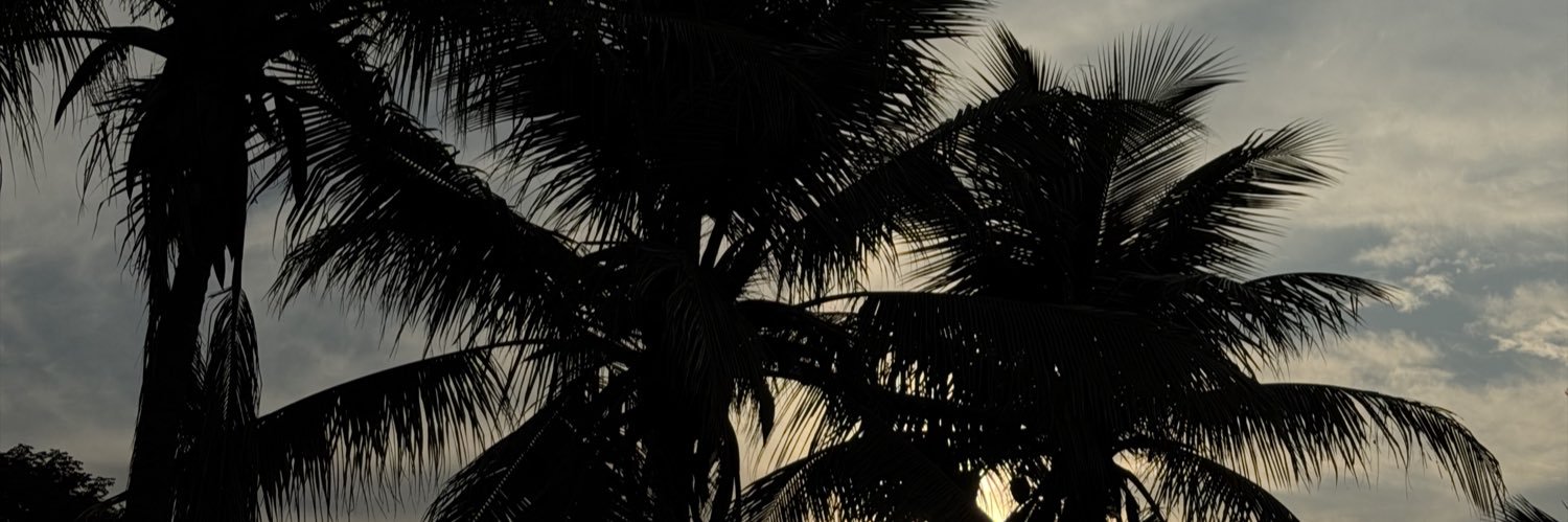 unesls's profile banner image