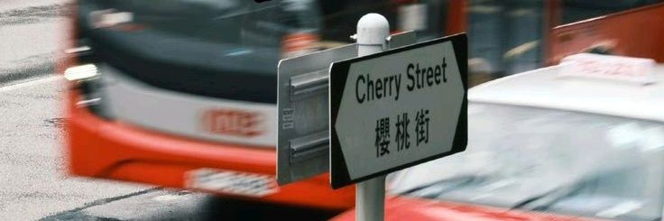 cherry 🍒🌲 banner