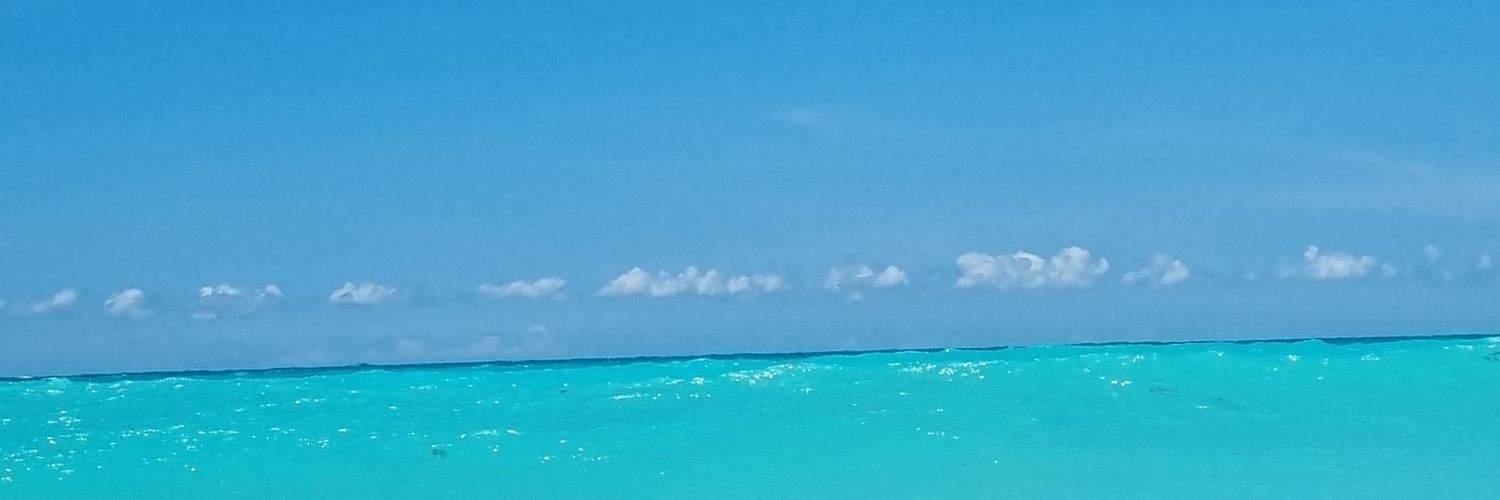 diegonewton's profile banner image