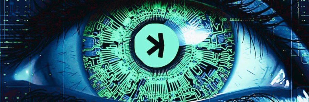 Altcoin Anarchist 𐤊 banner