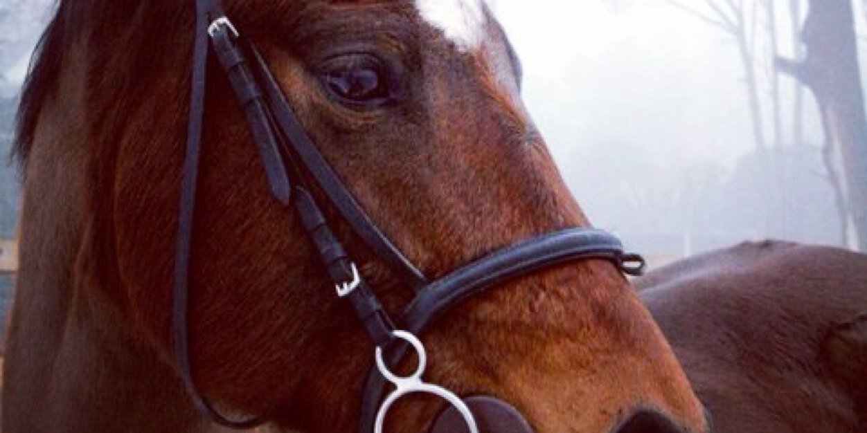 niamhberryXx's profile banner image